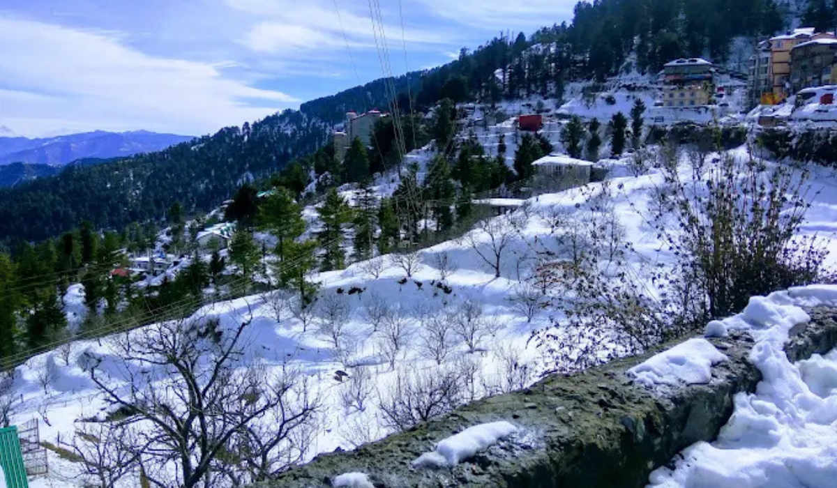TRAVEL (1)